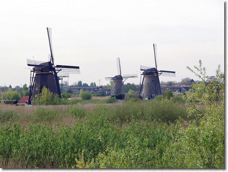 Næste billede